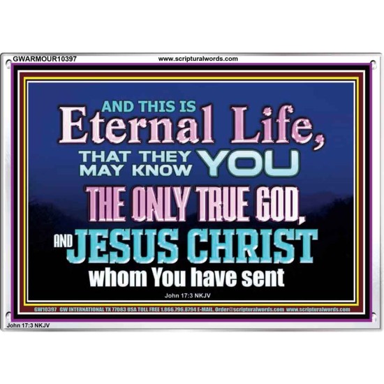 CHRIST JESUS THE ONLY WAY TO ETERNAL LIFE  Sanctuary Wall Acrylic Frame  GWARMOUR10397  