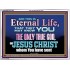 CHRIST JESUS THE ONLY WAY TO ETERNAL LIFE  Sanctuary Wall Acrylic Frame  GWARMOUR10397  "18X12"