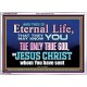 CHRIST JESUS THE ONLY WAY TO ETERNAL LIFE  Sanctuary Wall Acrylic Frame  GWARMOUR10397  
