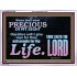 YOU ARE PRECIOUS IN THE SIGHT OF THE LIVING GOD  Modern Christian Wall Décor  GWARMOUR10490  "18X12"
