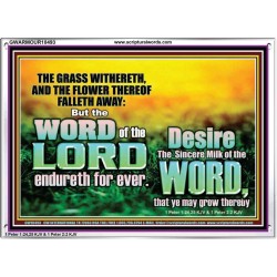 THE WORD OF THE LORD ENDURETH FOR EVER  Christian Wall Décor Acrylic Frame  GWARMOUR10493  "18X12"