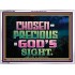 CHOSEN AND PRECIOUS IN THE SIGHT OF GOD  Modern Christian Wall Décor Acrylic Frame  GWARMOUR10494  "18X12"