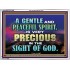GENTLE AND PEACEFUL SPIRIT VERY PRECIOUS IN GOD SIGHT  Bible Verses to Encourage  Acrylic Frame  GWARMOUR10496  "18X12"