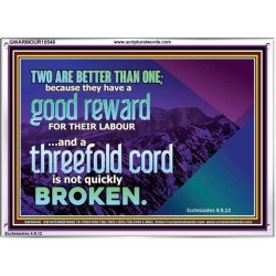 TWO ARE BETTER THAN ONE  Contemporary Christian Wall Art Acrylic Frame  GWARMOUR10548  "18X12"