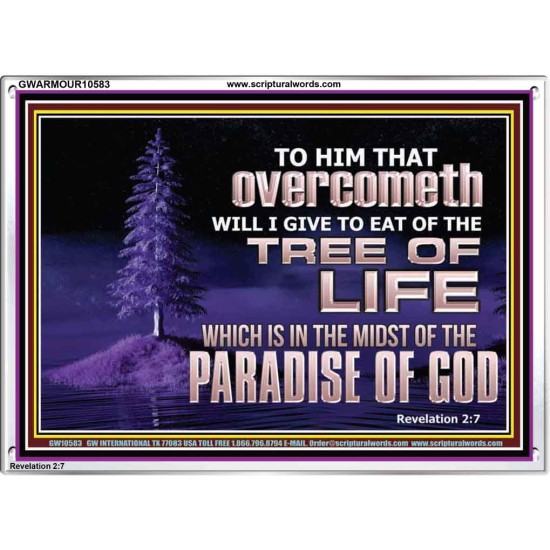 HE THAT OVERCOMETH  Bible Verse Acrylic Frame  GWARMOUR10583  