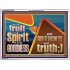 FRUIT OF THE SPIRIT IS IN ALL GOODNESS RIGHTEOUSNESS AND TRUTH  Eternal Power Picture  GWARMOUR10649  "18X12"