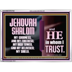 JEHOVAH SHALOM OUR GOODNESS FORTRESS HIGH TOWER DELIVERER AND SHIELD  Encouraging Bible Verse Acrylic Frame  GWARMOUR10749  "18X12"