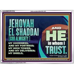 JEHOVAH EL SHADDAI GOD ALMIGHTY OUR GOODNESS FORTRESS HIGH TOWER DELIVERER AND SHIELD  Christian Quotes Acrylic Frame  GWARMOUR10752  "18X12"