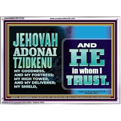 JEHOVAH ADONAI TZIDKENU OUR RIGHTEOUSNESS OUR GOODNESS FORTRESS HIGH TOWER DELIVERER AND SHIELD  Christian Quotes Acrylic Frame  GWARMOUR10753  "18X12"