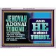 JEHOVAH ADONAI TZIDKENU OUR RIGHTEOUSNESS OUR GOODNESS FORTRESS HIGH TOWER DELIVERER AND SHIELD  Christian Quotes Acrylic Frame  GWARMOUR10753  