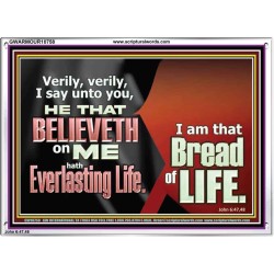 HE THAT BELIEVETH ON ME HATH EVERLASTING LIFE  Contemporary Christian Wall Art  GWARMOUR10758  "18X12"