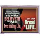 HE THAT BELIEVETH ON ME HATH EVERLASTING LIFE  Contemporary Christian Wall Art  GWARMOUR10758  