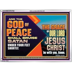 THE GOD OF PEACE SHALL BRUISE SATAN UNDER YOUR FEET SHORTLY  Scripture Art Prints Acrylic Frame  GWARMOUR10760  "18X12"