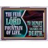 THE FEAR OF THE LORD IS A FOUNTAIN OF LIFE TO DEPART FROM THE SNARES OF DEATH  Scriptural Portrait Acrylic Frame  GWARMOUR10770  "18X12"