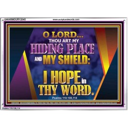 THOU ART MY HIDING PLACE AND SHIELD  Bible Verses Wall Art Acrylic Frame  GWARMOUR12045  "18X12"