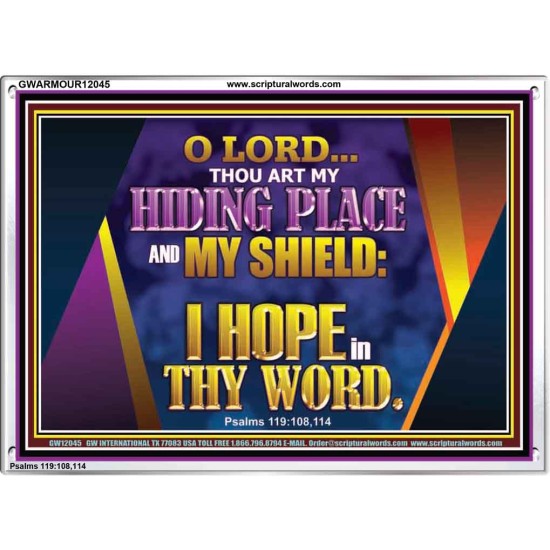 THOU ART MY HIDING PLACE AND SHIELD  Bible Verses Wall Art Acrylic Frame  GWARMOUR12045  