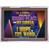 THOU ART MY HIDING PLACE AND SHIELD  Bible Verses Wall Art Acrylic Frame  GWARMOUR12045  "18X12"