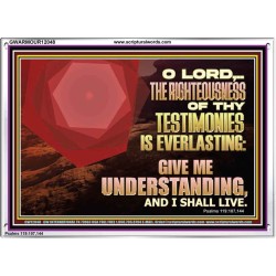 THE RIGHTEOUSNESS OF THY TESTIMONIES IS EVERLASTING O LORD  Religious Wall Art   GWARMOUR12048  "18X12"