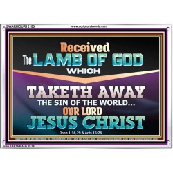 RECEIVED THE LAMB OF GOD OUR LORD JESUS CHRIST  Art & Décor Acrylic Frame  GWARMOUR12153  "18X12"