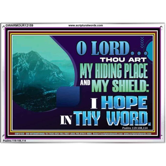 THOU ART MY HIDING PLACE AND SHIELD  Large Custom Acrylic Frame   GWARMOUR12159  