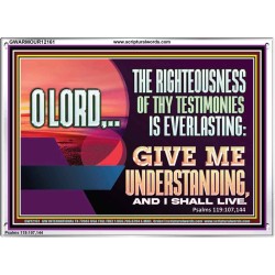 THE RIGHTEOUSNESS OF THY TESTIMONIES IS EVERLASTING O LORD  Bible Verses Acrylic Frame Art  GWARMOUR12161  "18X12"