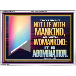 THOU SHALT NOT LIE WITH MANKIND AS WITH WOMANKIND IT IS ABOMINATION  Bible Verse for Home Acrylic Frame  GWARMOUR12169  "18X12"