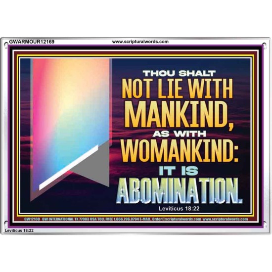 THOU SHALT NOT LIE WITH MANKIND AS WITH WOMANKIND IT IS ABOMINATION  Bible Verse for Home Acrylic Frame  GWARMOUR12169  