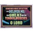 GREAT ARE THY TENDER MERCIES O LORD  Unique Scriptural Picture  GWARMOUR12180  "18X12"