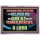 GREAT ARE THY TENDER MERCIES O LORD  Unique Scriptural Picture  GWARMOUR12180  