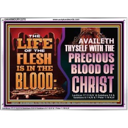 AVAILETH THYSELF WITH THE PRECIOUS BLOOD OF CHRIST  Children Room  GWARMOUR12375  "18X12"