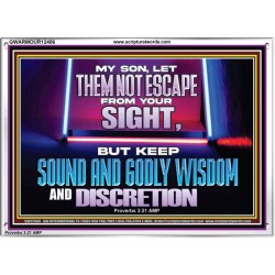 KEEP SOUND AND GODLY WISDOM AND DISCRETION  Church Acrylic Frame  GWARMOUR12406  "18X12"