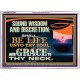 SOUND WISDOM AND DISCRETION SHALL BE LIFE UNTO THY SOUL  Children Room Wall Acrylic Frame  GWARMOUR12407  