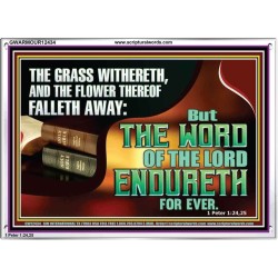 THE WORD OF THE LORD ENDURETH FOR EVER  Sanctuary Wall Acrylic Frame  GWARMOUR12434  "18X12"