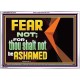 FEAR NOT FOR THOU SHALT NOT BE ASHAMED  Scriptural Acrylic Frame Signs  GWARMOUR12710  