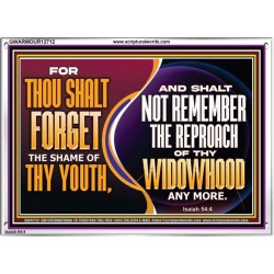 THOU SHALT FORGET THE SHAME OF THY YOUTH  Encouraging Bible Verse Acrylic Frame  GWARMOUR12712  "18X12"