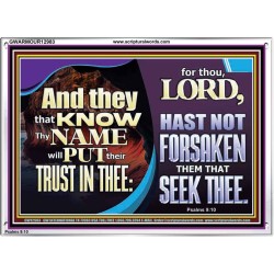 THEY THAT KNOW THY NAME WILL NOT BE FORSAKEN  Biblical Art Glass Acrylic Frame  GWARMOUR12983  "18X12"