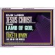 THE LAMB OF GOD WHICH TAKETH AWAY THE SIN OF THE WORLD  Children Room Wall Acrylic Frame  GWARMOUR12991  