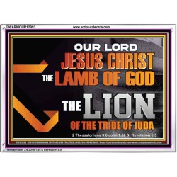 THE LION OF THE TRIBE OF JUDA CHRIST JESUS  Ultimate Inspirational Wall Art Acrylic Frame  GWARMOUR12993  "18X12"
