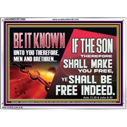 IF THE SON THEREFORE SHALL MAKE YOU FREE  Ultimate Inspirational Wall Art Acrylic Frame  GWARMOUR13066  "18X12"