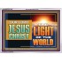 OUR LORD JESUS CHRIST THE LIGHT OF THE WORLD  Bible Verse Wall Art Acrylic Frame  GWARMOUR13122  "18X12"
