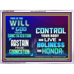 THE WILL OF GOD SANCTIFICATION HOLINESS AND RIGHTEOUSNESS  Church Acrylic Frame  GWARMOUR9588  "18X12"