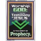 TESTIMONY OF JESUS IS THE SPIRIT OF PROPHECY  Kitchen Wall Décor  GWARMOUR10046  