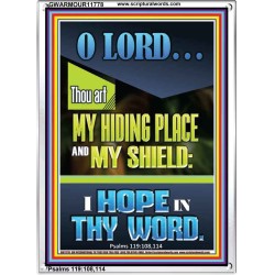 JEHOVAH OUR HIDING PLACE AND SHIELD  Encouraging Bible Verses Portrait  GWARMOUR11778  "12x18"