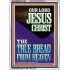 OUR LORD JESUS CHRIST THE TRUE BREAD FROM HEAVEN  Church Portrait  GWARMOUR11950  "12x18"