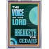 THE VOICE OF THE LORD BREAKETH THE CEDARS  Scriptural Décor Portrait  GWARMOUR11979  "12x18"