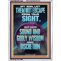 KEEP SOUND AND GODLY WISDOM AND DISCRETION  Bible Verse for Home Portrait  GWARMOUR12390  "12x18"