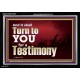 IT SHALL TURN TO YOU FOR A TESTIMONY  Inspirational Bible Verse Acrylic Frame  GWASCEND10339  