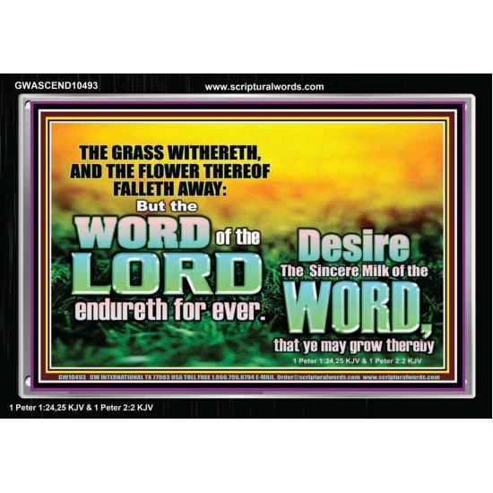 THE WORD OF THE LORD ENDURETH FOR EVER  Christian Wall Décor Acrylic Frame  GWASCEND10493  