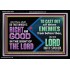 DO THAT WHICH IS RIGHT AND GOOD IN THE SIGHT OF THE LORD  Righteous Living Christian Acrylic Frame  GWASCEND10533  "33X25"