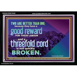TWO ARE BETTER THAN ONE  Contemporary Christian Wall Art Acrylic Frame  GWASCEND10548  